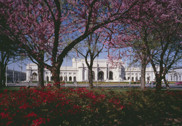 View of Union Station behind Cherry Blossom Trees.