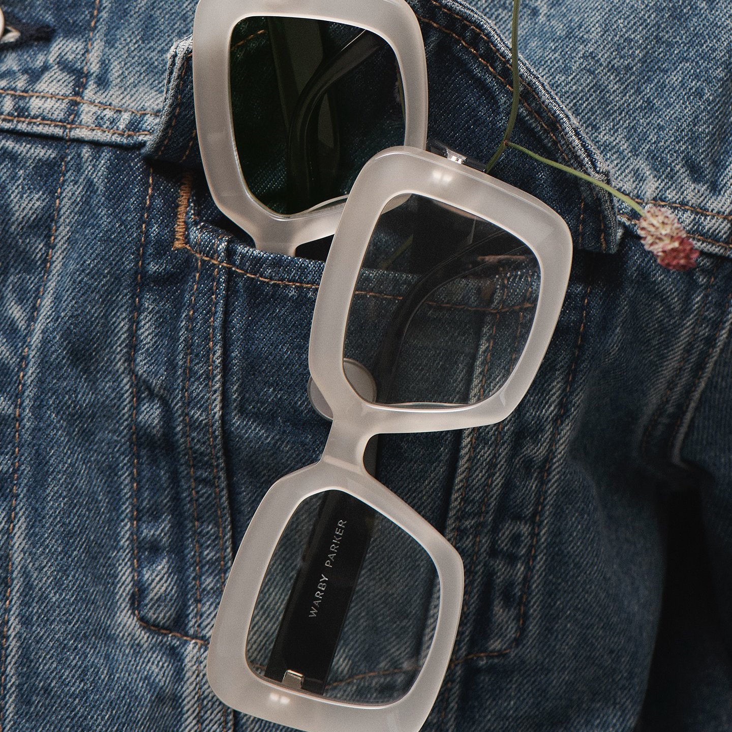 Warby PARKER Warby Parker sunglasses in back pocket